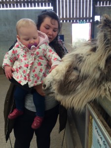 MARCH 2016 - FARM TRIP (1)